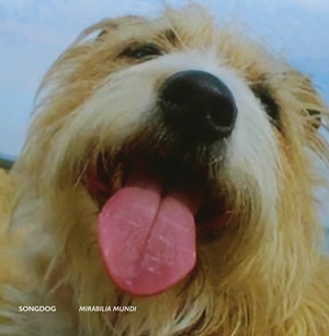 Songdog
