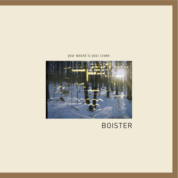 Boister