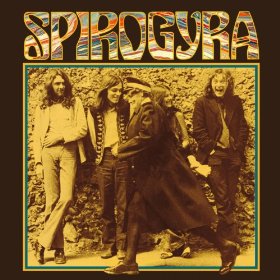 Spirogyra